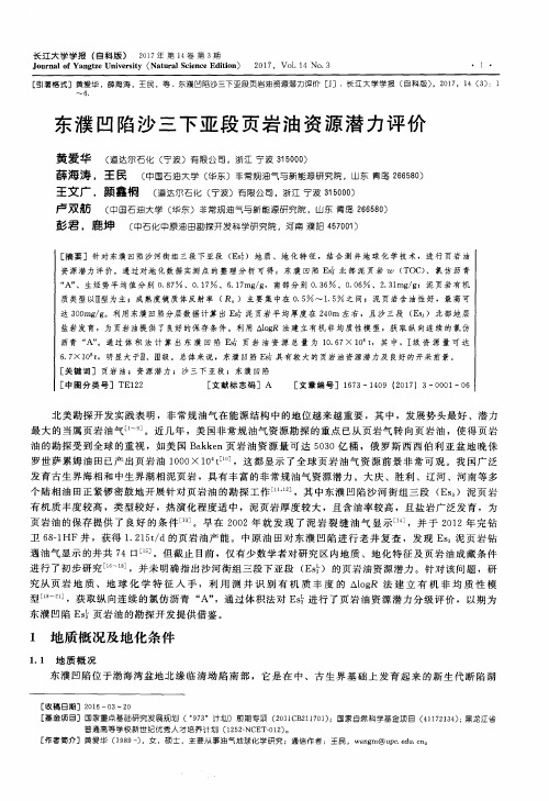 东濮凹陷沙三下亚段页岩油资源潜力评价