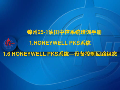 1.6 HONEYWELL PKS系统—设备控制回路组态