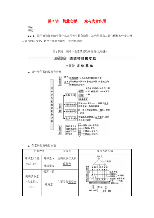 绿叶中色素的提取和分离实验课学案必修1