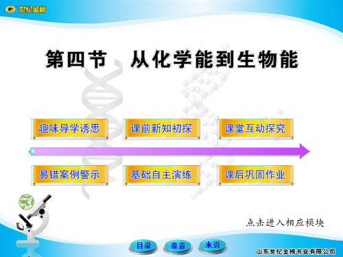 从化学能到生物能(中图版必修1)