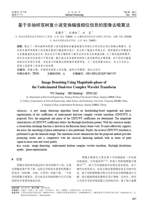 基于非抽样双树复小波变换幅值相位信息的图像去噪算法