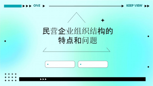 民营企业组织结构的特点和问题