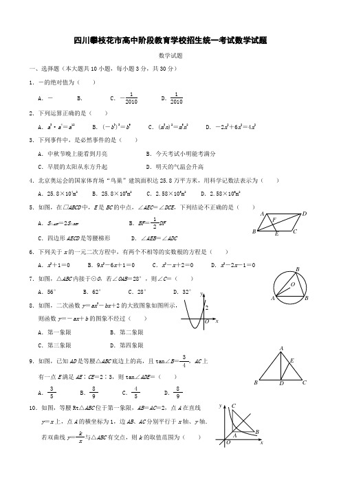 四川攀枝花市中考数学试题.doc