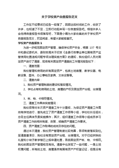 关于学校资产自查报告范文