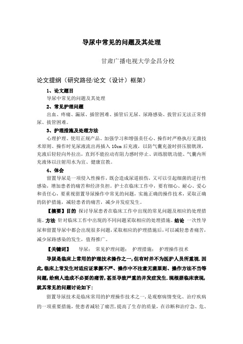 护理论文 导尿中常见的问题及其处理