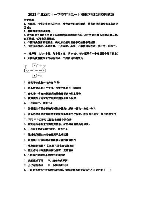 2023年北京市十一学校生物高一上期末达标检测模拟试题含解析