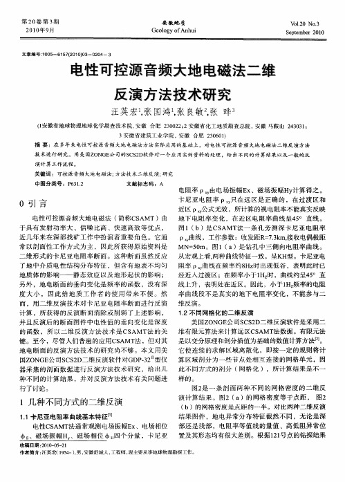 电性可控源音频大地电磁法二维反演方法技术研究