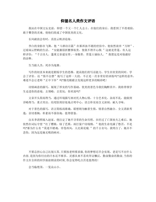 仰望名人类作文评语