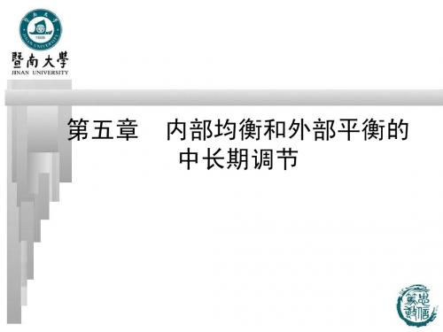 第05章国际金融内部均衡和外部平衡的中长期调节