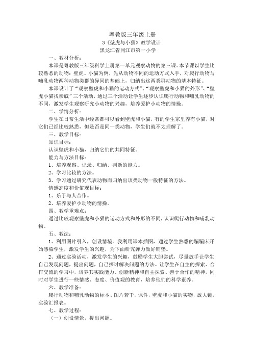 粤教版科学三年级3壁虎与小猫教学设计