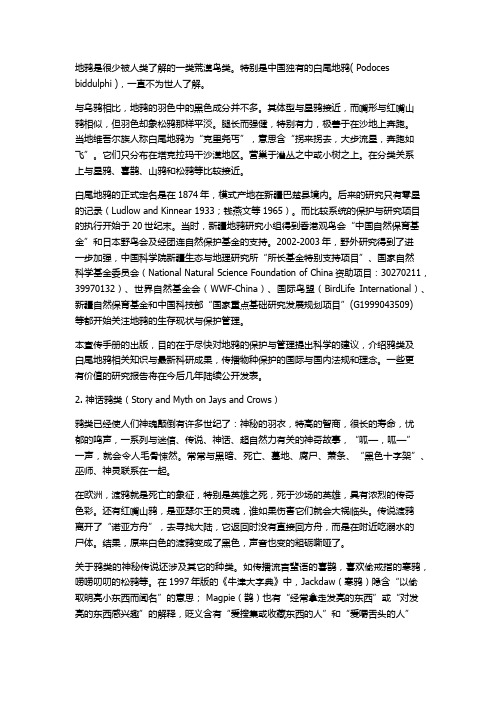 观鸟 刘玺龙