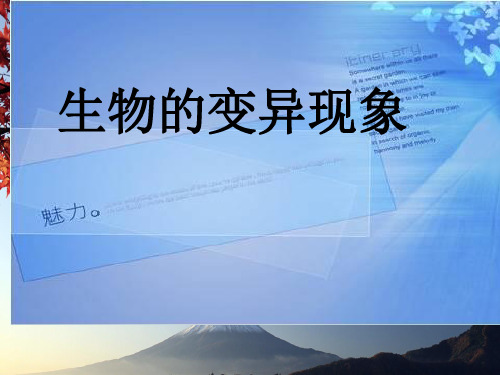 六级下册 生物的变异现象 苏教版ppt精品课件