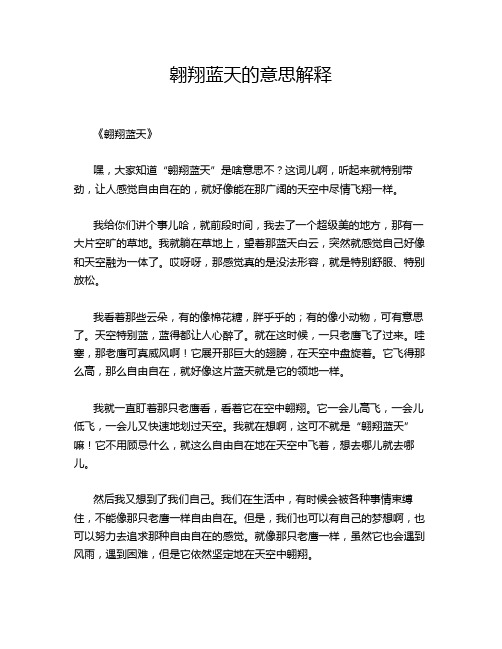 翱翔蓝天的意思解释