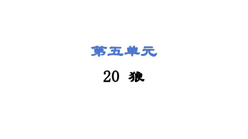 第20课 狼 课件(共45张PPT) 统编版语文七年级上册(2024)