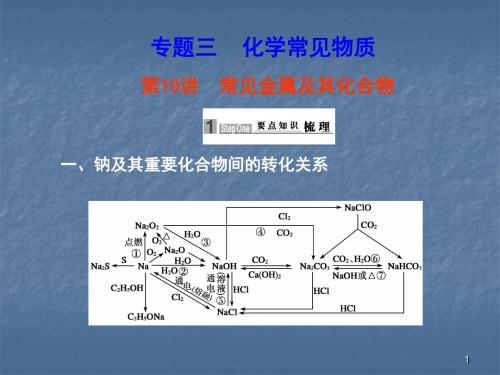 钠及其重要化合物间的转化关系ppt课件