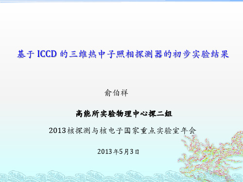 基于ICCD的三维热中子照相探测器的初步实验结果