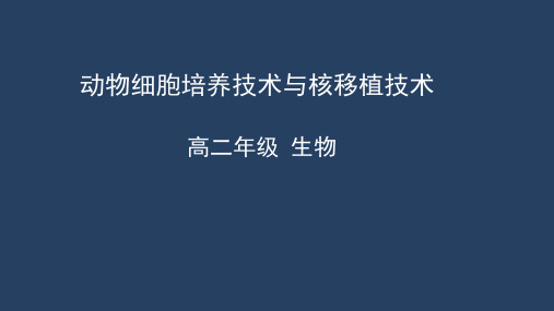 人教版高中生物选择性必修第3册 动物细胞培养和核移植技术(1)