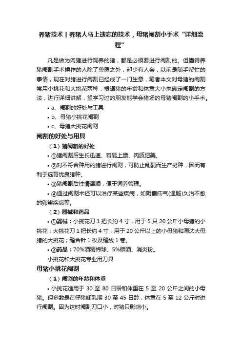 养猪技术丨养猪人马上遗忘的技术，母猪阉割小手术“详细流程”