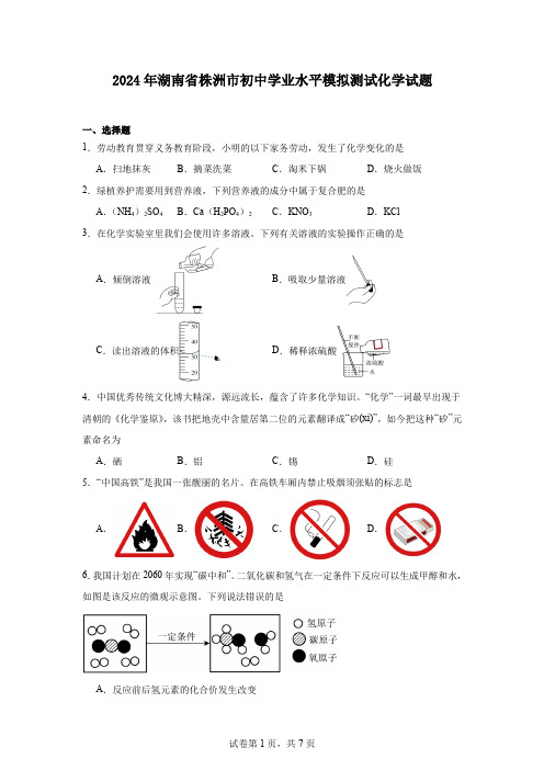 2024年湖南省株洲市初中学业水平模拟测试化学试题