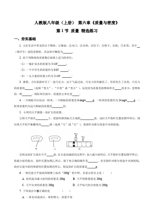 6.1质量(精选练习)【原卷版+解析】