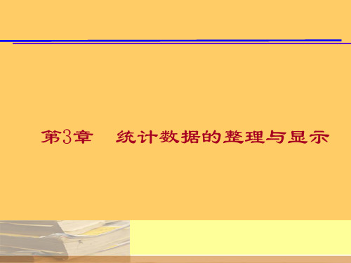 统计数据的整理及其显示(PowerPoint 107页)