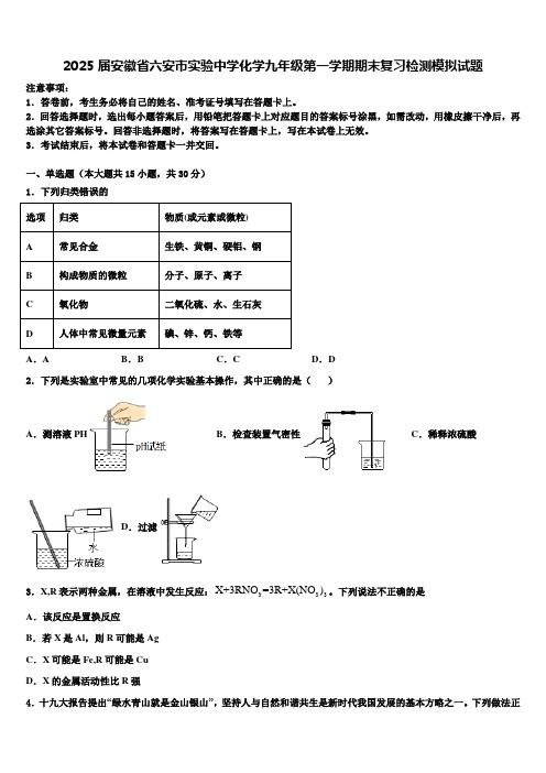 2025届安徽省六安市实验中学化学九年级第一学期期末复习检测模拟试题含解析