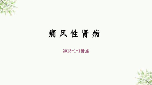 痛风性肾病护理查房课件