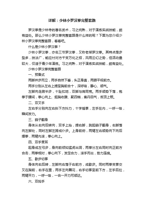 ?详解：少林小罗汉拳完整套路