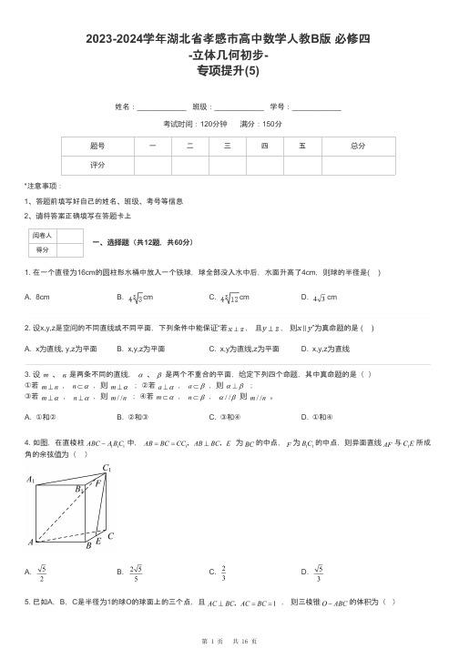 2023-2024学年湖北省孝感市高中数学人教B版 必修四-立体几何初步-专项提升-5-含解析