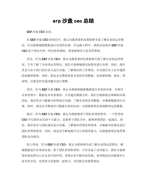 erp沙盘ceo总结