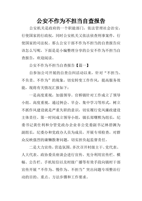 公安不作为不担当自查报告