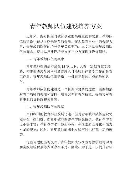 青年教师队伍建设培养方案