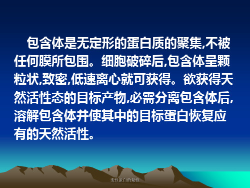 变性蛋白的复性PPT课件