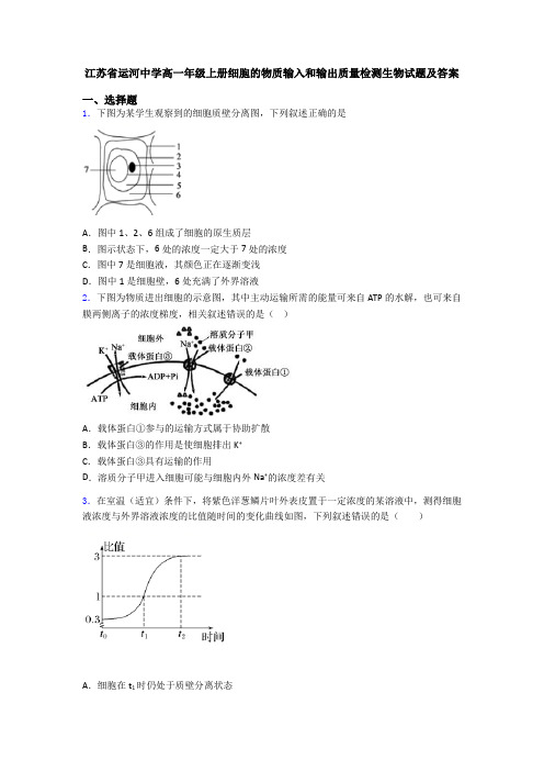 江苏省运河中学高一年级上册细胞的物质输入和输出质量检测生物试题及答案