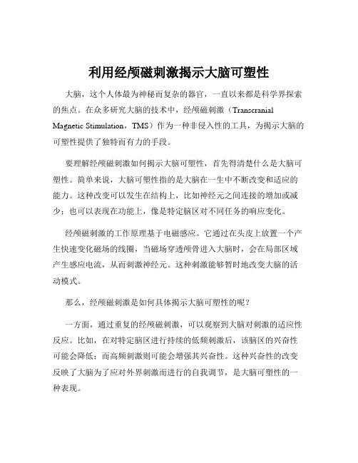 利用经颅磁刺激揭示大脑可塑性