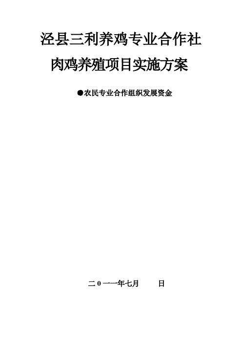 15万项目实施方案