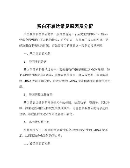 蛋白不表达常见原因及分析