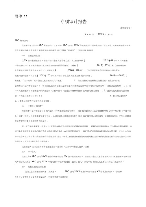 双软企业认定专项审计报告