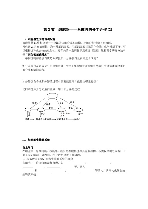 第2节细胞器系统内的分工合作第2课时