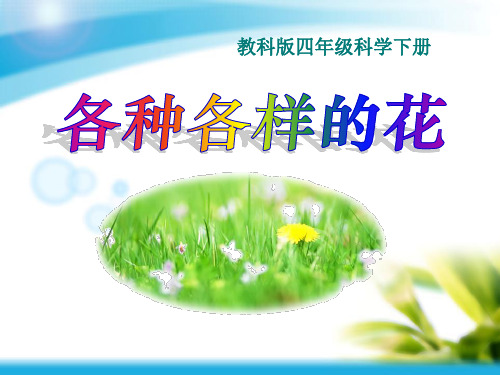 四年级下 各种各样的花教科版实用PPT (共26张PPT)