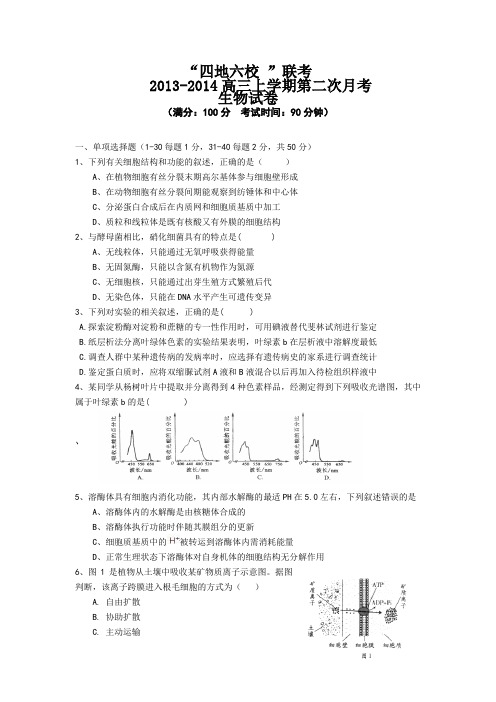 福建省四地六校2014届高三上学期第二次月考生物试题 Word版含答案