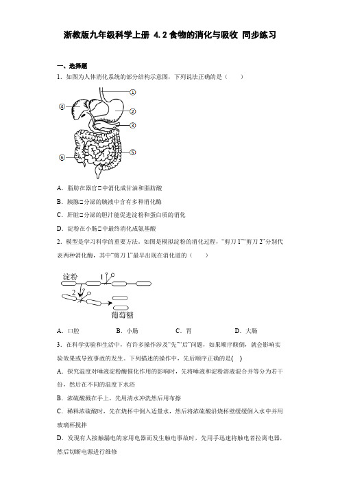 初中科学浙教版九年级上册第四章第二节食物的消化与吸收 同步练习(含答案)