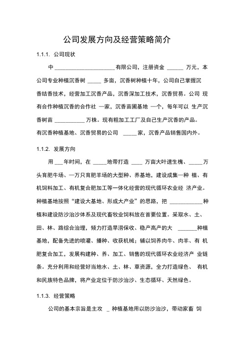 公司发展方向及经营策略模版