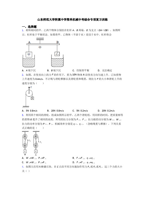 山东师范大学附属中学简单机械中考综合专项复习训练