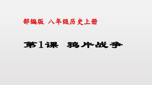 2021-2022学年部编版八年级历史上册1