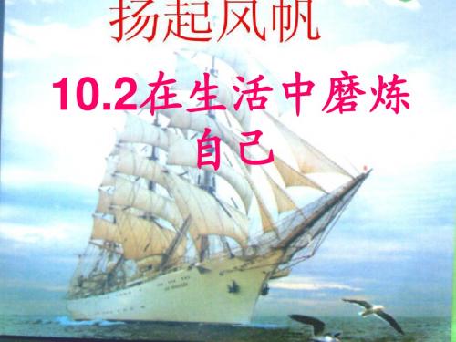 鲁教版政治七年级上册10、2在生活中磨炼自己