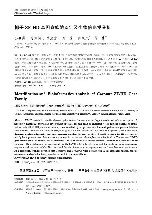 椰子zf-hd基因家族的鉴定及生物信息学分析