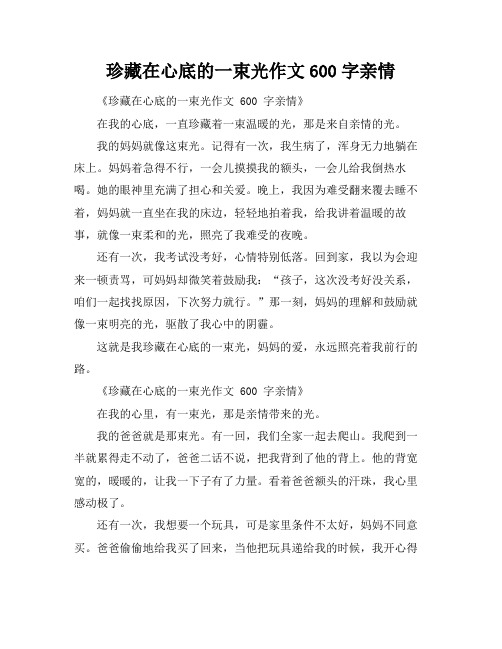 珍藏在心底的一束光作文600字亲情