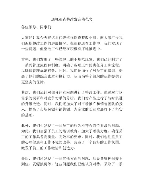 巡视巡查整改发言稿范文