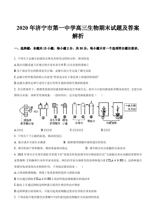 2020年济宁市第一中学高三生物期末试题及答案解析